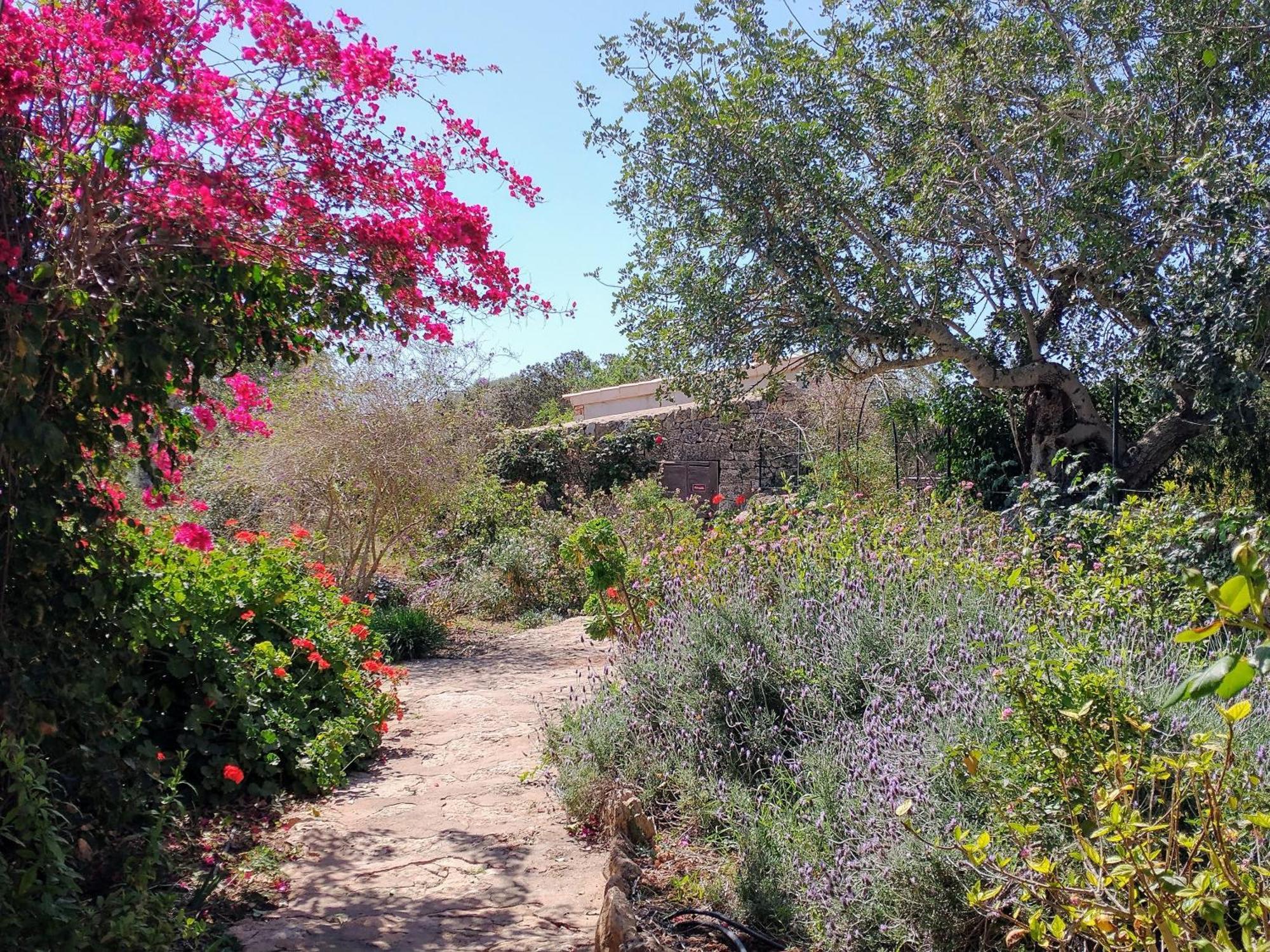 Finca Son Marimon (Adults Only) Santanyí Exterior foto